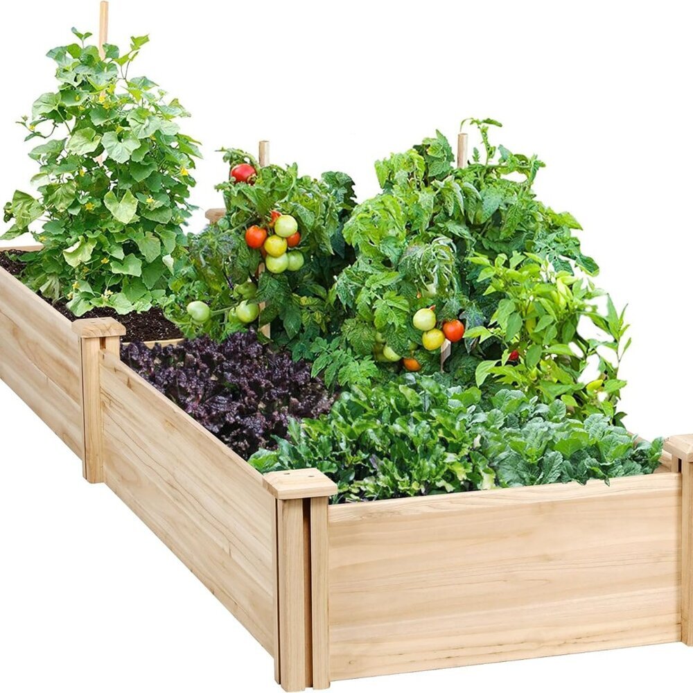 8×2ft Wooden Horticulture Raised Garden Bed Divisible Elevated Planting Planter